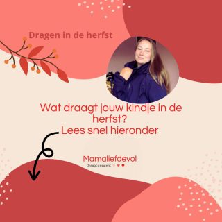 Ben je al overtuigd om jouw kindje lekker te dragen in het najaar, maar vraag jij je af welke kleding je kindje dan moet dragen? Onder een draagjas of draagcover hoeft jouw kindje zelf geen jas aan. Wel kan je denken aan een warm broekje, sokken, shawl en muts. Belangrijk is (zoals altijd) dat jij je kindje in de gaten houdt en met regelmaat even aan het nekje en de beentjes voelt hoe warm je kindje is. Een tip: te warm aankleden is gevaarlijker dan te koud.

Wil je meer weten? Kijk dan op https://www.mamaliefdevol.nl/dragen-in-het-najaar/ of link in bio.

Op de foto draag ik een jas van @mamalila_official die ik tijdens een reisje van @mawaho.nl mocht testen.