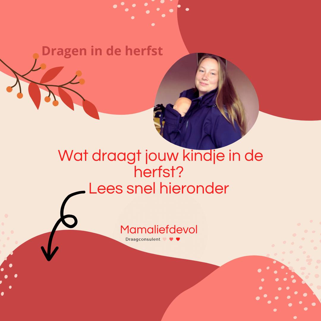 Ben je al overtuigd om jouw kindje lekker te dragen in het najaar, maar vraag jij je af welke kleding je kindje dan moet dragen? Onder een draagjas of draagcover hoeft jouw kindje zelf geen jas aan. Wel kan je denken aan een warm broekje, sokken, shawl en muts. Belangrijk is (zoals altijd) dat jij je kindje in de gaten houdt en met regelmaat even aan het nekje en de beentjes voelt hoe warm je kindje is. Een tip: te warm aankleden is gevaarlijker dan te koud.

Wil je meer weten? Kijk dan op https://www.mamaliefdevol.nl/dragen-in-het-najaar/ of link in bio.

Op de foto draag ik een jas van @mamalila_official die ik tijdens een reisje van @mawaho.nl mocht testen.
